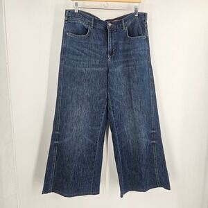 Anthropologie Pilcro Wide-Leg Baggy Jeans Medium Wash High-Rise Denim Size 31
